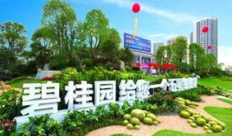 新县碧桂园爆料最新消息,揭秘项目进展与未来规划