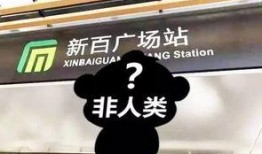 石家庄乐业最新爆料,揭秘行业动态与职场新趋势